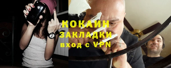 гидра Инсар