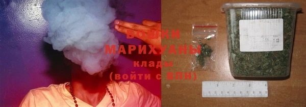 PSILOCYBIN Каменка
