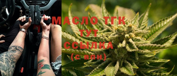 гидра Инсар