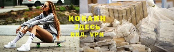 PSILOCYBIN Каменка